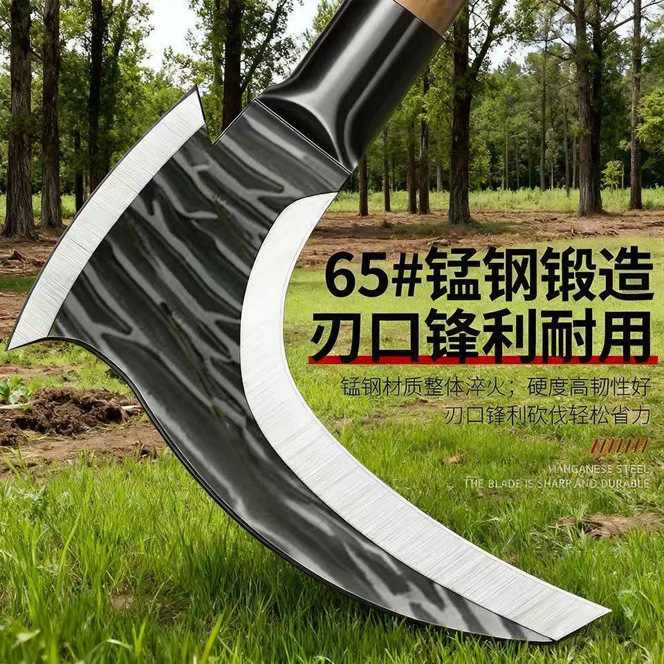 微信图片_20251226150509_563_33.jpg