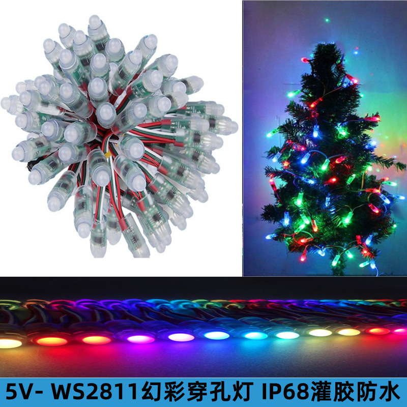 LED幻彩外露灯WS 2811户外防雨DC5V点光源发光字全彩穿孔led灯串