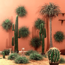 ��Ʒ���ݔ[����Ƥ��̦���Ѳ��b��쾰���~�݅�ֲ��Gֲ��ˮ��