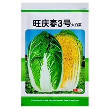 华耐旺庆春3号大白菜种子春秋播种早熟高产结球紧实大田蔬菜种子
