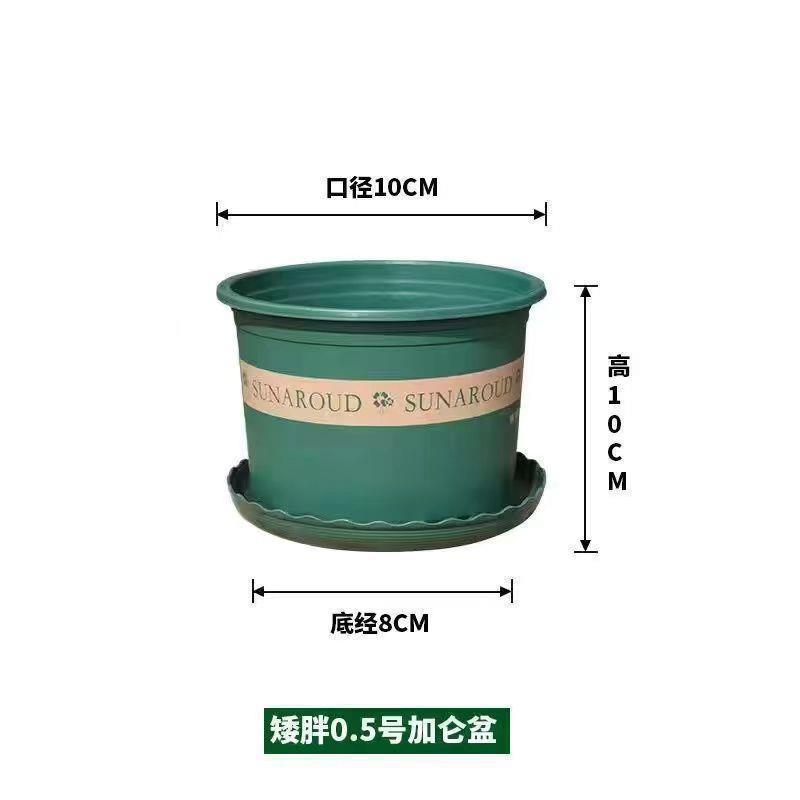 Chunky 0.5 [caliber 11cm] single pack / With tray