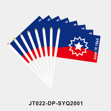 六月节严选黑人解放月手摇旗Juneteenth纪念旗帜彩虹旗气氛车旗