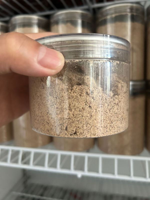 内丘野生ナツメ仁500g高品質薬食同源原材磨粉安心睡眠卸売りナツメ仁|undefined