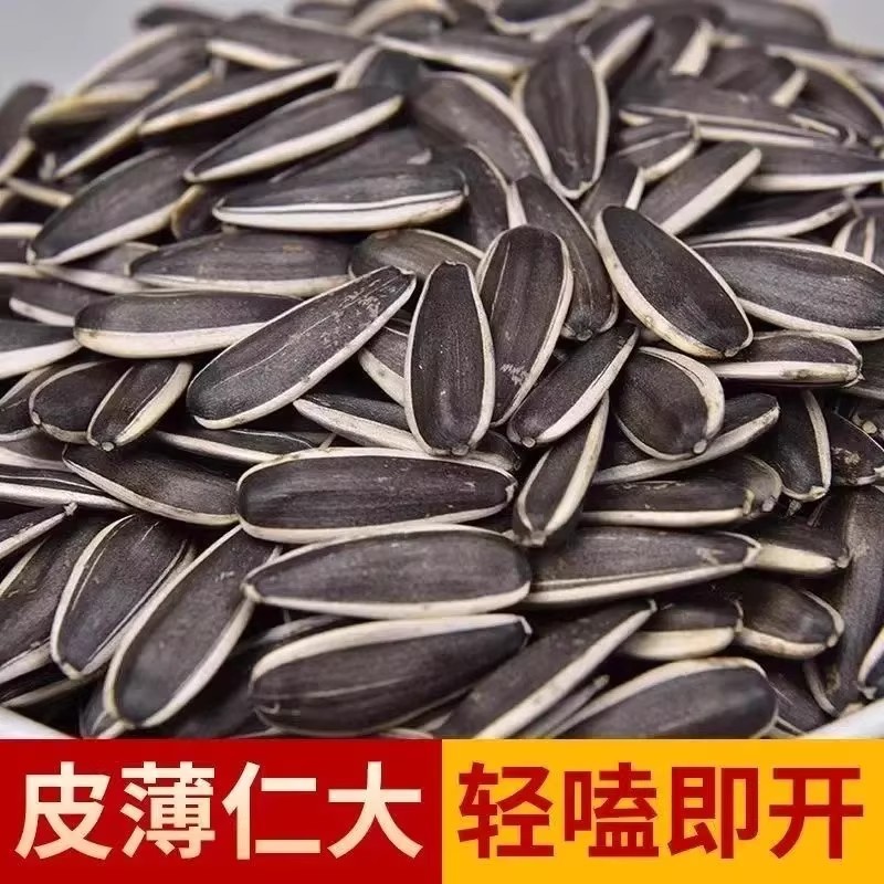 新货现炒现发瓜子葵花籽原味瓜子小包炒熟零食散装五香瓜子批发整