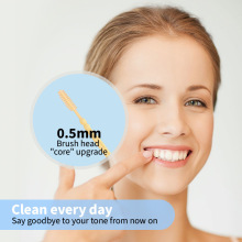 Bulk Disposable 2-End Dental Brush & Fishbone Toothpick Plas