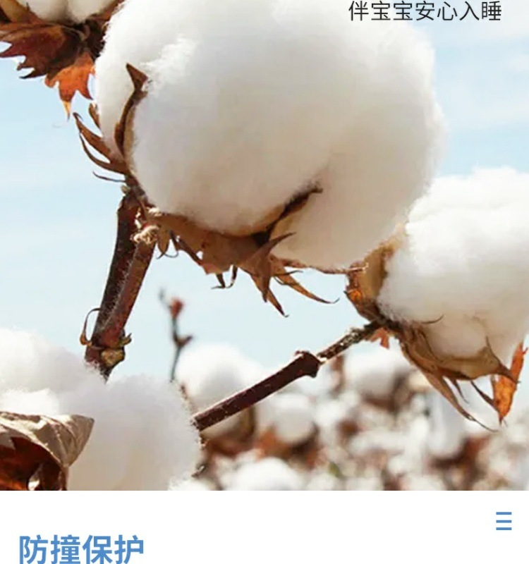 1ad62196-cb97-4778-83ac-aec6363d54cc.jpe