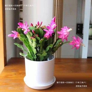 С�����՚��k�����ǾGֲֲ�����ͬ�҃��Lɳ�_�����Bзצ�m����