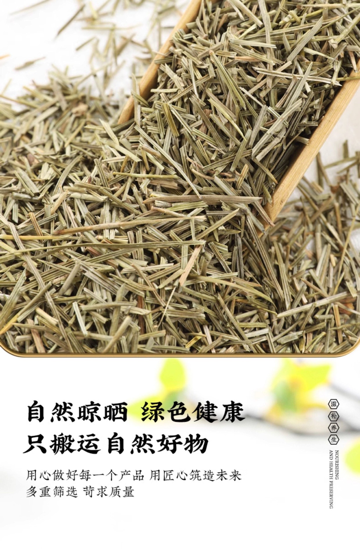 Dried Pine Needles Song Zhen 松针 1000g Loose Herbal Tea Masson Pine Needle Tea in use