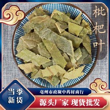 枇杷叶中药材500g枇杷叶茶新鲜生枇杷叶干货老另售炙枇杷叶罗汉果