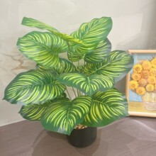 ���ޱ��W�L���[�������l�҃��b��ܾGֲ�[������辰����G�辰