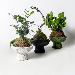 ��������ˮ�໨��횻ݼ�΢�¼�̦�\���҃����̨�Gֲ��������ֲ��