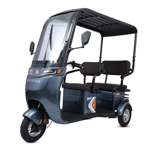 Home Electric Tricycle 800W