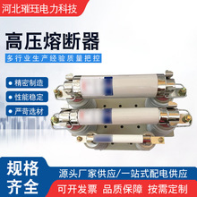 批发高压限流熔断器高压高分断能力熔断器XRNT-10互感器熔断管