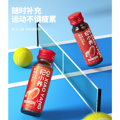 Ning'an Fortress Goji Berry Original Pulp Wholesale Ningxia Head Start Goji Berry Original Pulp Gift Box Fresh Fruit Juice Ready-to-Eat Oral Liquid Bottled