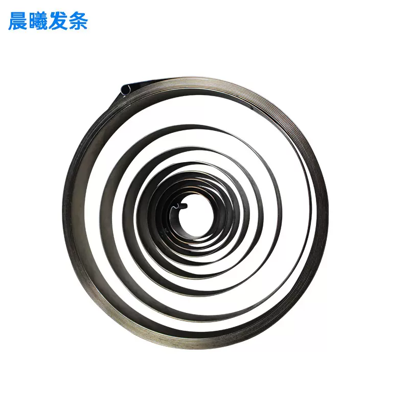 厂家定制不锈钢304涡卷弹簧发条弹簧 玩具五金弹簧