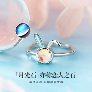 �����¹�ʯ���ӽ�ָ2025���y�¿�С���OӋ�߼�����Ф��ʳָ��ָ