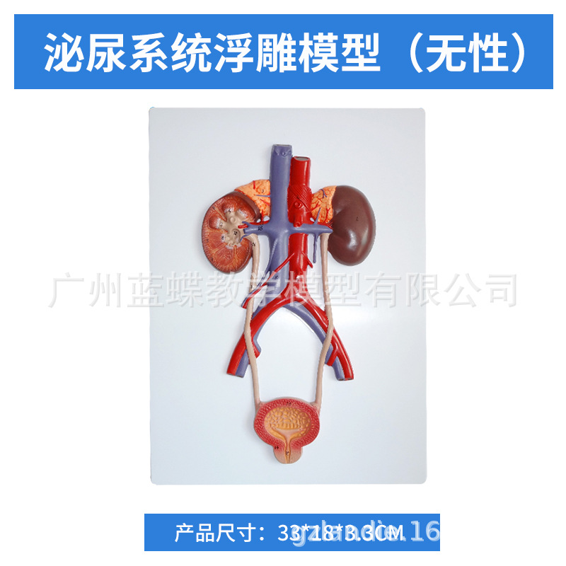 ������������ϵͳģ������ܰ������ ҽѧ��ֳϵͳ�������ģ��