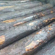 带影枫木 原木实木板材木皮贴面天然影木装饰板材批发 欧枫白影木