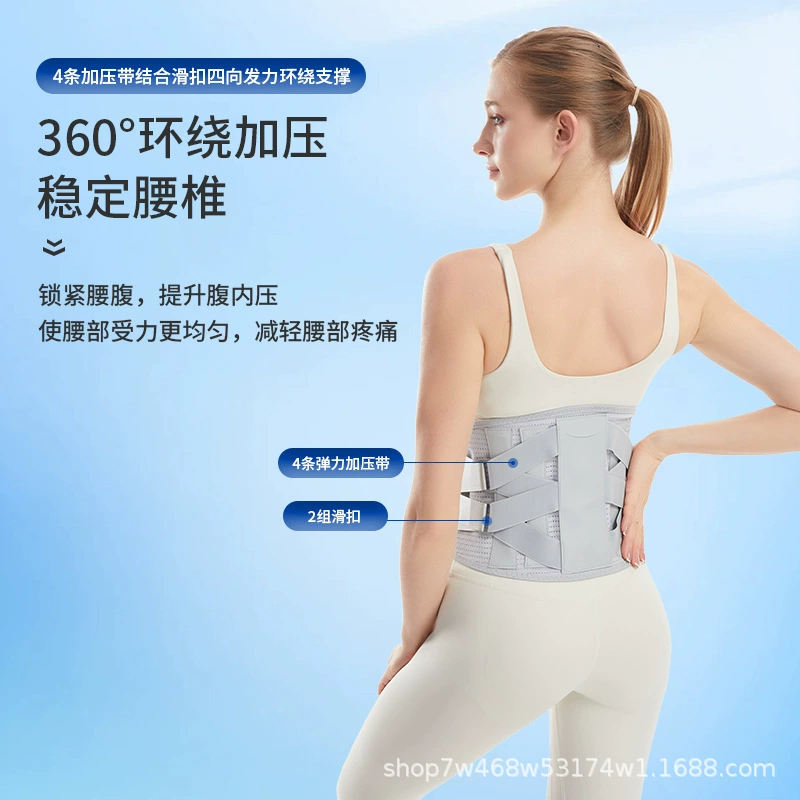 Пояс поясничного диска Выделите поясничный отдел поясничных мышц