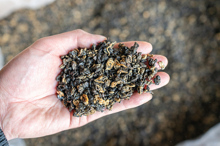 红螺实拍 (7).jpg