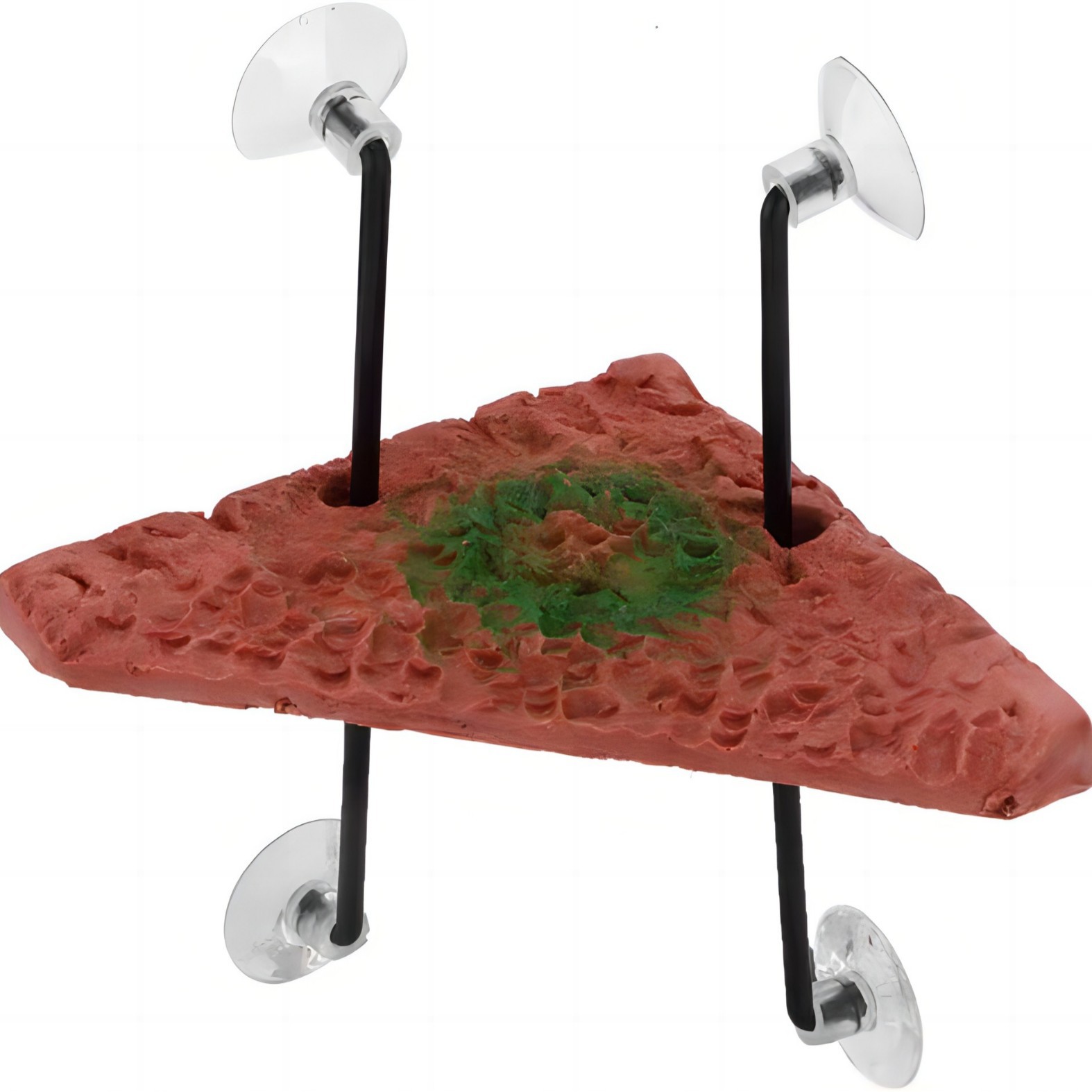 Mascotas trepadoras Tortuga mascota Secadora de espalda Plataforma de rocalla Terraza Pecera Tortuga de agua Escalada de aguas profundas Tortuga Isla flotante Elevación Plataforma flotante triangular