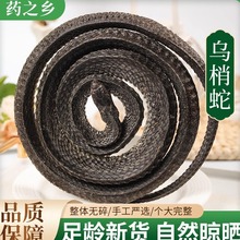 甄选特级四川乌梢蛇中药材 乌蛇中药 乌梢蛇段酒乌梢蛇整条乌梢蛇