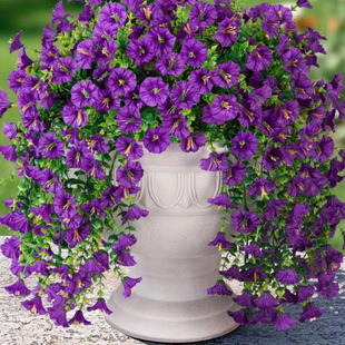 �羳���R�d�ٻ��������Ȼ���ţ��������滨�ٗl�Ғ��bҾӱڒ�
