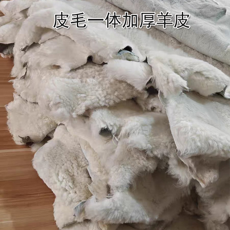羊皮主图1.jpg