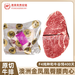 ���޽��P��M9���N��ţ��������ԭ��203�S���ѩ��ţ�����l����