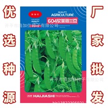 604ܛvmNӡ10ˡ߮amS߲˷Nl