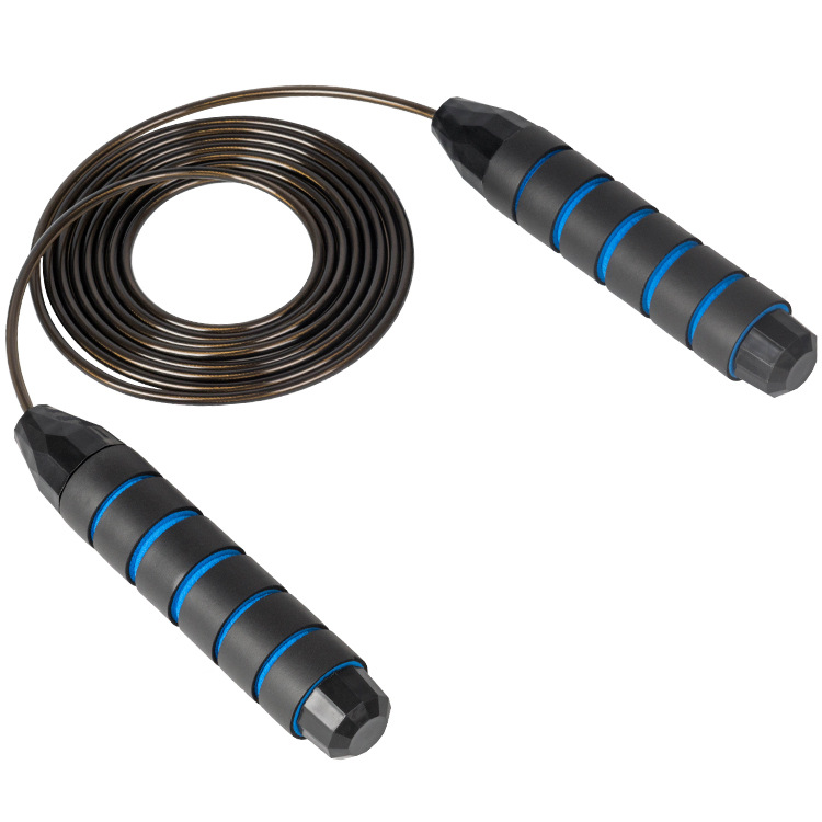 이중 베어링 검정색과 파란색 일반 모델