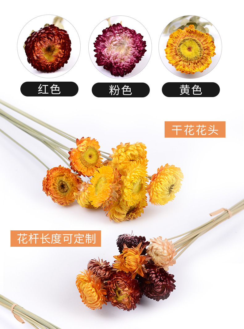 혼합색 파인애플 국화 20개입