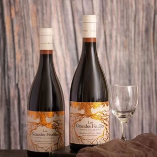 �����M�ڼt���_�{�ӹ�14�ȹ���ׯ�@�ɼt���ѾƾƏS���lһ�����l