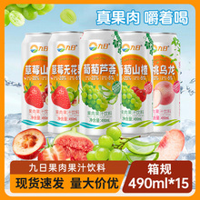 九日490ml大罐果肉果汁饮料葡萄芦荟蜜桃乌龙解腻清新饮品果粒