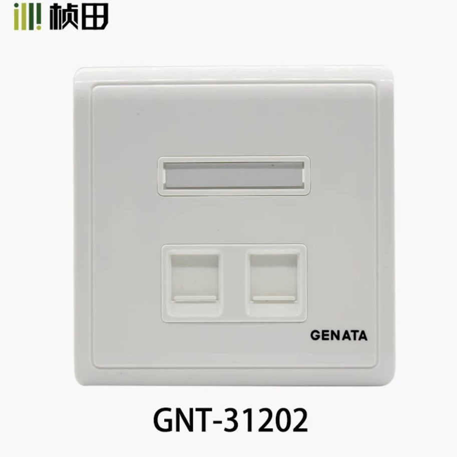 Zhen Tian GNT-31202 Информационная панель настенной розетки с 2 слотами