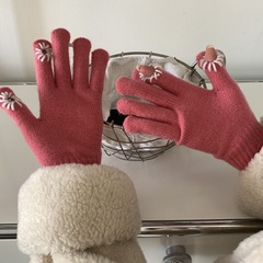 Little Chrysanthemum~Korean ins blogger's same early autumn pattern split finger cute knitted wool gloves with missing fingers and touch screen gloves