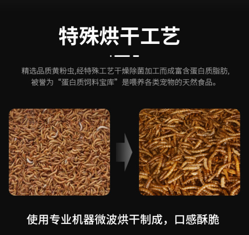 Rutin Chicken Bread Insect Snacks Yellow Mealworm Dried Parrot Golden Bear Feed Quail Hamster Hedgehog Nutritional Insects