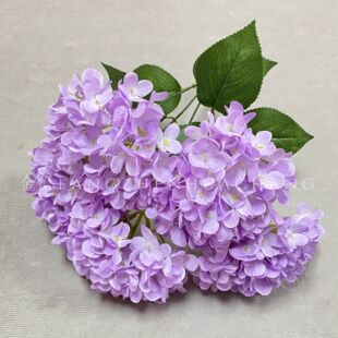5�^������滨��ˇ225Ƭ��c�������û��Ĺ��S���l�羳opp���l