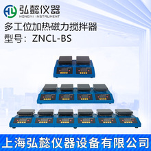 ZNCL-BS智能恒温数显磁力加热板搅拌器两联四联六联多工位仪器