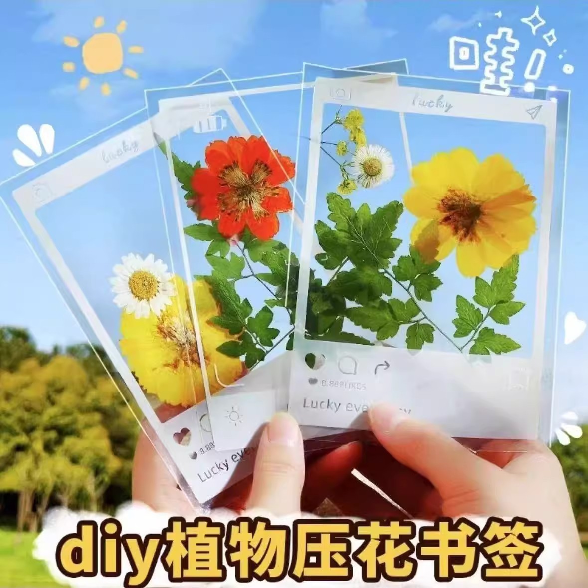 Creative Autumn Leaves Pressed Flower Photo Frame Series, New Handmade Dried Flower Transparent Specimen Frames