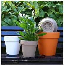 �_�R���մɼӁ���Ӻ��֬���ϻ�������p�ݸ߼����¿��������