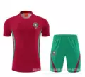 2627 moroccan red training set