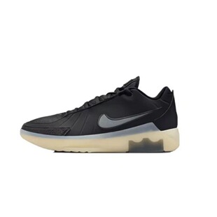 ղķ˹���ӑ��⌍��@��Ь��Ť��3d���w LEBRON WITNESS 9 II75