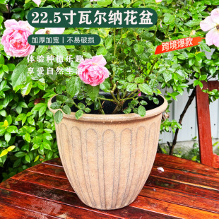 �h�����¿��ߠ��{����N��Gֲ���ϻ��賬�������Nֲ���̖
