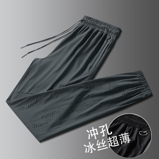 2024�¿���zѝ���ļ����e�Lѝ�������{�z��ѝ����M-8XL�\�Ӵ�a