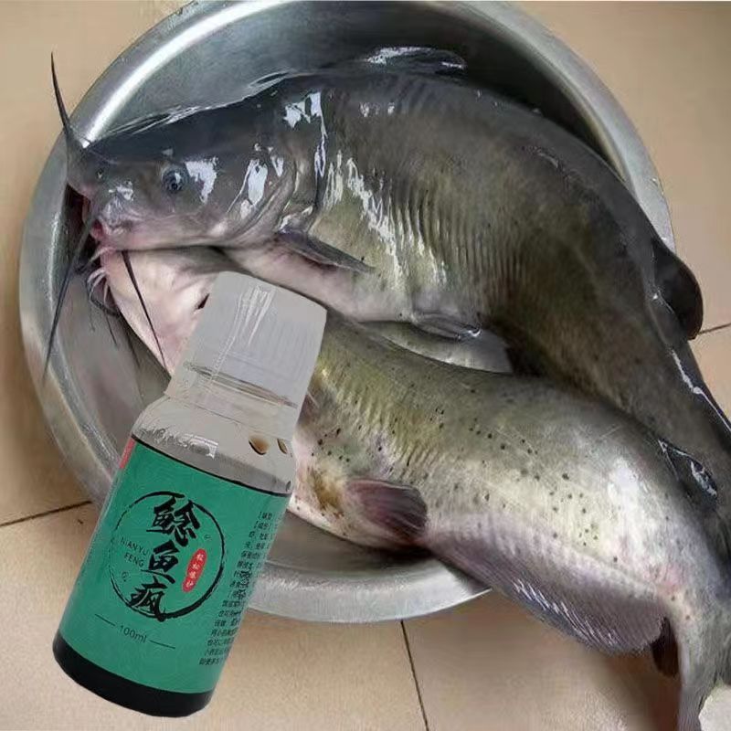 Cat, pescado barbudo loco, gato de boca grande, gato egipcio, gato de tierra, gato de tierra, cebo, gato de gato, fábrica de suministro al por mayor.