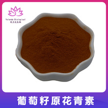 葡萄籽提取物 原花青素粉95% OPC低聚原花青素 现货供应 欢迎订购