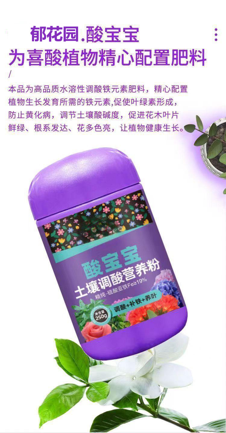 详情图