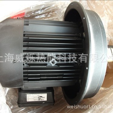 供应D132/120-2A威索weishaupt风门执行器伺服电机（图）
