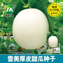 廠家大量批發白色厚皮甜瓜種子約100粒家庭春夏季種植甜水果種籽